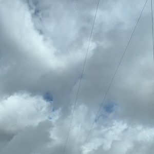 Meet your Posher, Lucy